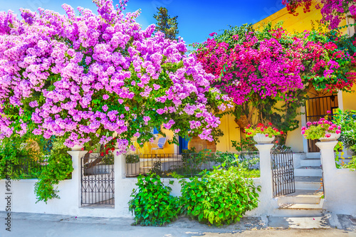 House with bougainvillea