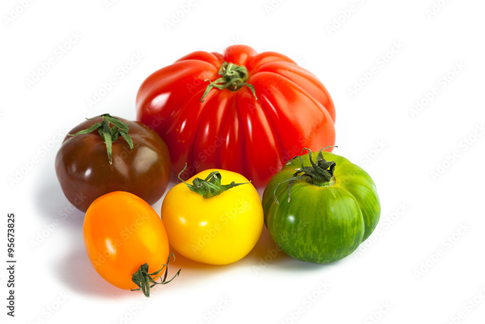 Different colors tomatos, Solanum lycopersicum, on white backgroung Different colors tomatos, Solanum lycopersicum, on white backgroung