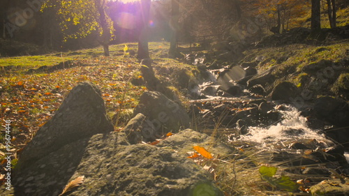 Country landscape in autumn