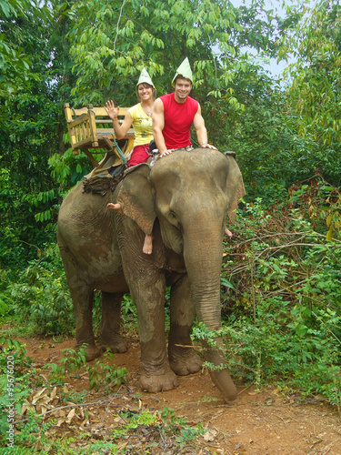 Elephant Ride