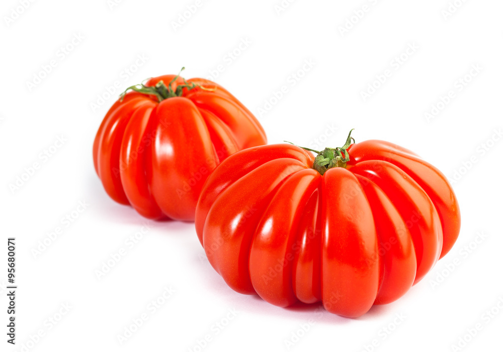 Different colors tomatos, Solanum lycopersicum, on white backgroung Different colors tomatos, Solanum lycopersicum, on white backgroung