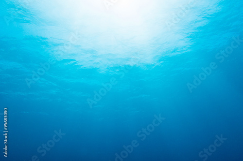 underwater © taka