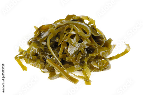 Fotografie Kelp (Laminaria) Seaweed Isolated on White Background