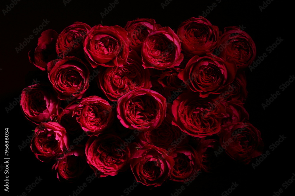 Fototapeta premium 薔薇