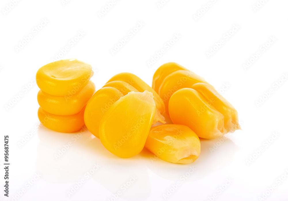 corn seeds on nwhite background corn seeds on nwhite background