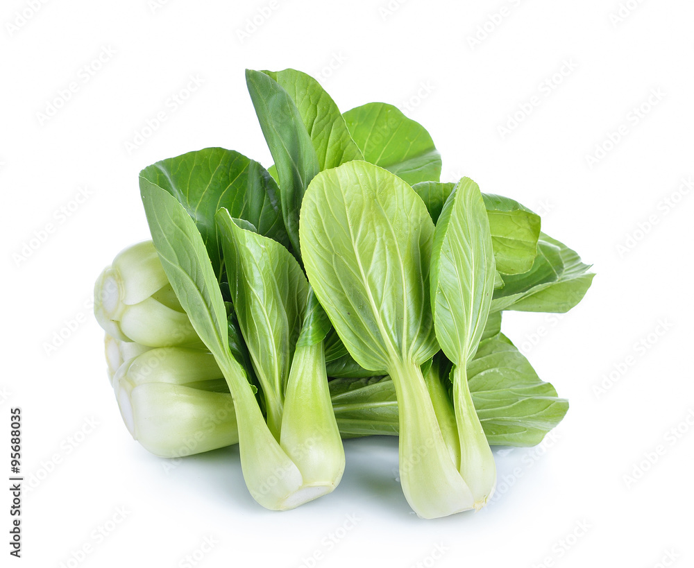 Bok choy vegetable on white background Bok choy vegetable on white background