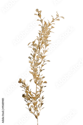 Golden Christmas decoration branches