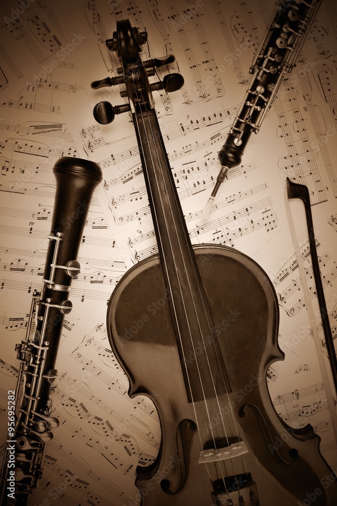 Obraz premium Violin and oboe musical instruments