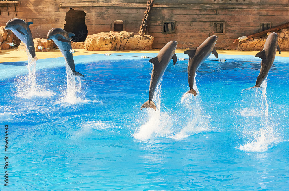 a group of dolphins jumping at the same time in a blue water pool