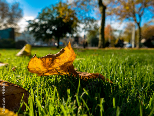 Fall leaves and street background © hbilgen