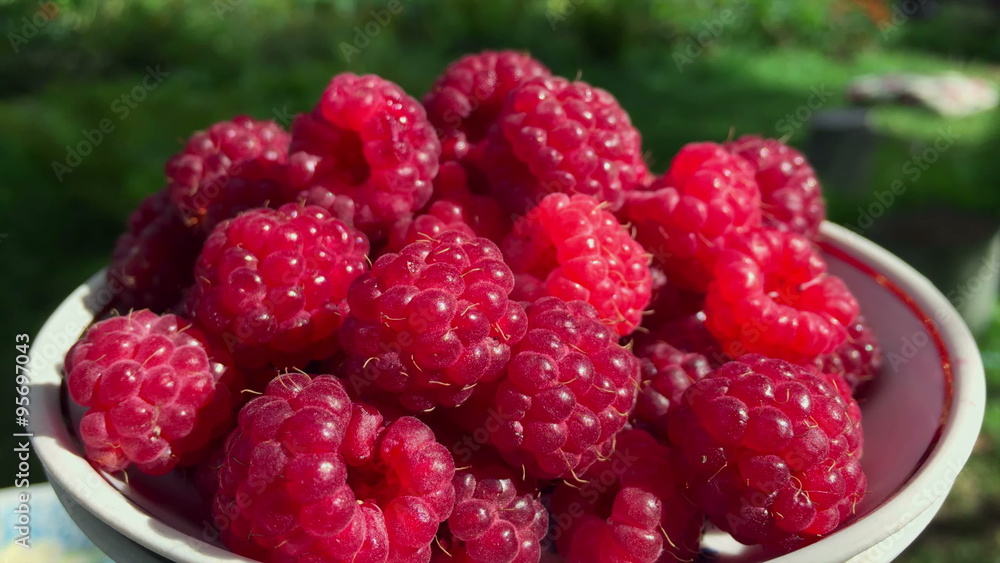 Fresh raspberries shot in super marco lens on white dish with blurry depth of field village on background. Camera is static and do not move. Soft sun shadows calm playing on berries. Fresh raspberries shot in super marco lens on white dish with blurry depth of field village on background. Camera is static and do not move. Soft sun shadows calm playing on berries.