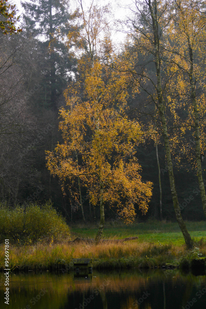 Naklejka premium Herbst