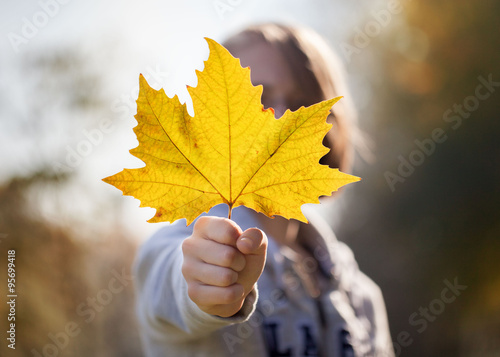 yellow autumn leaf