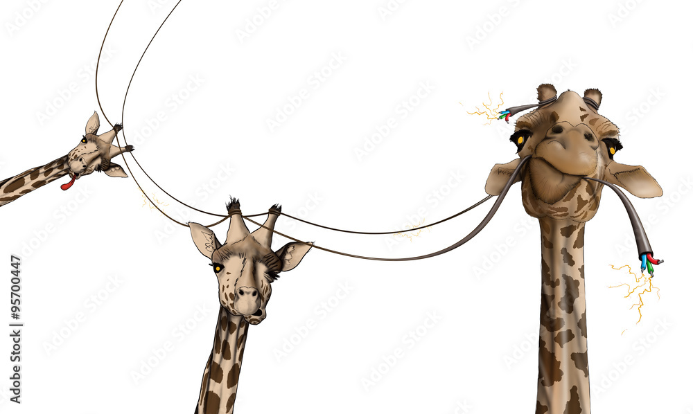 Fototapeta premium drawing of a giraffe