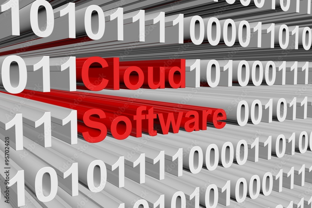 cloud software is presented in the form of binary code