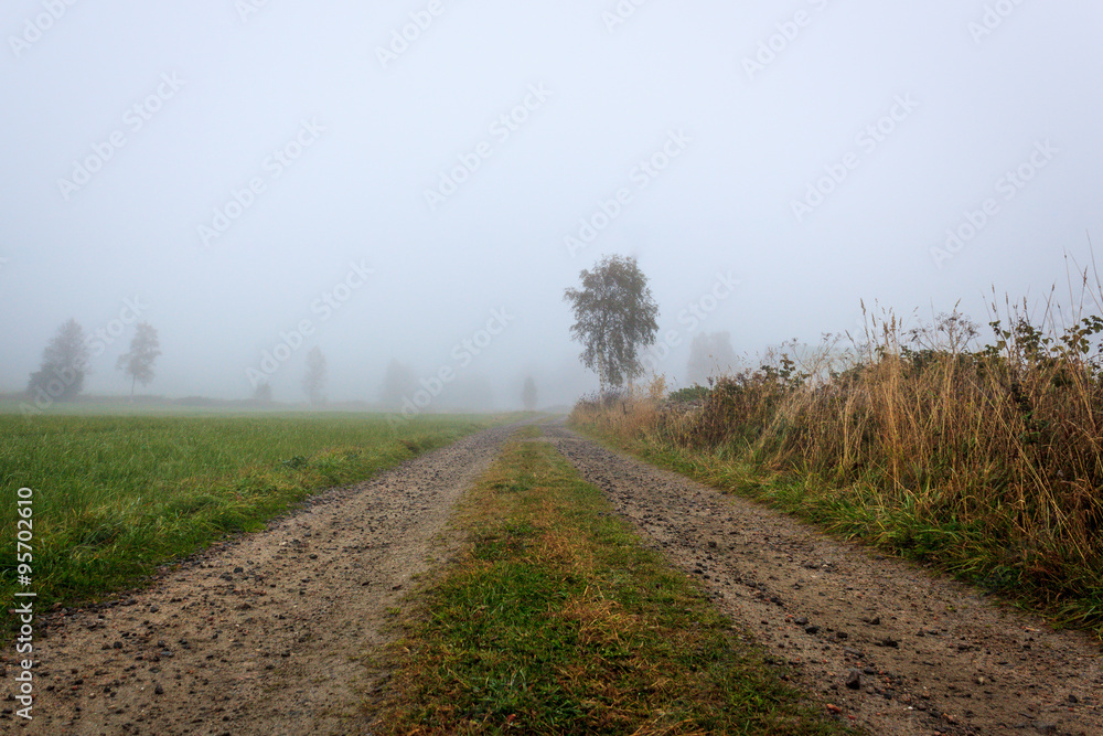 Fog down a rural road in autumn