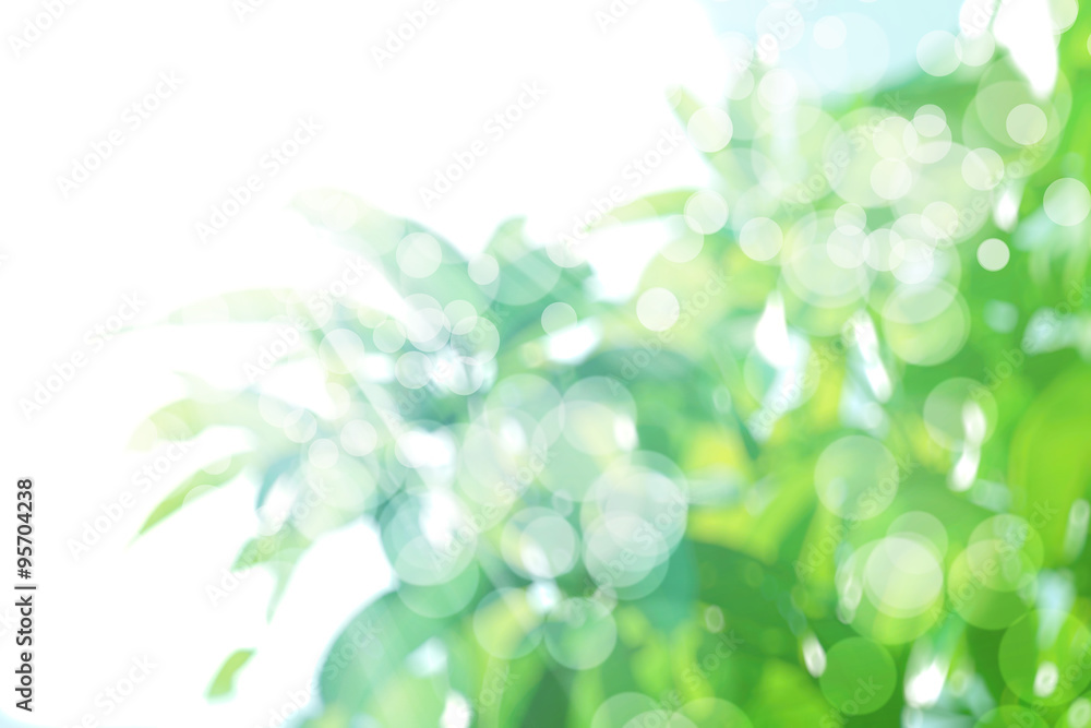 abstract natural blur background, defocused leaves, bokeh abstract natural blur background, defocused leaves, bokeh