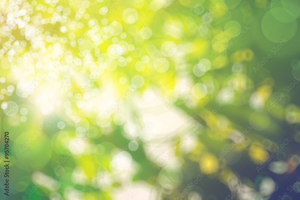 Obraz premium abstract natural blur background, defocused leaves, bokeh