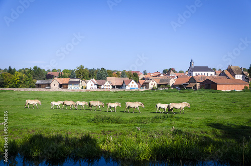 wonderful views of the channel Bruche