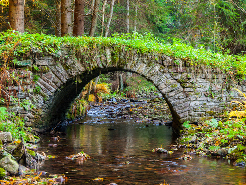 Canvas Print Small old stone bridge in a forest