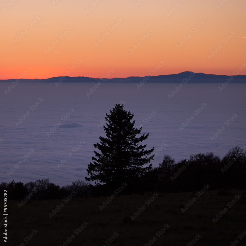 sunset over fog in Black Forest, Germany