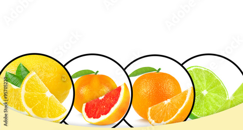 citrus fruits collage isolated on white background