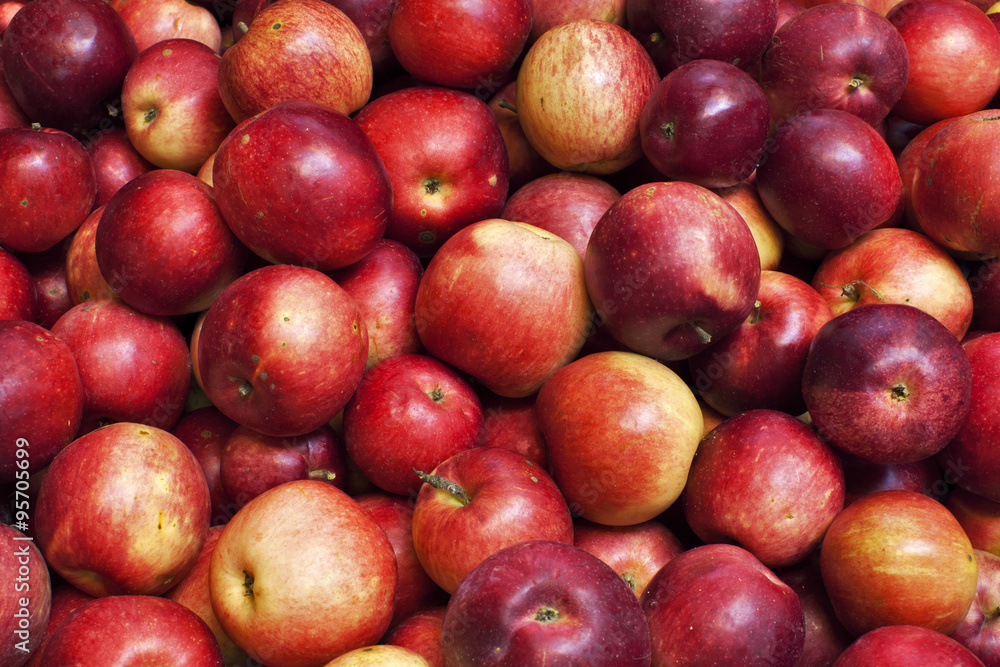 Closeup of packed red-ripe apples. Bright colors. Delicious fruit. Image of natural materials. Eco style. Closeup of packed red-ripe apples. Bright colors. Delicious fruit. Image of natural materials. Eco style.