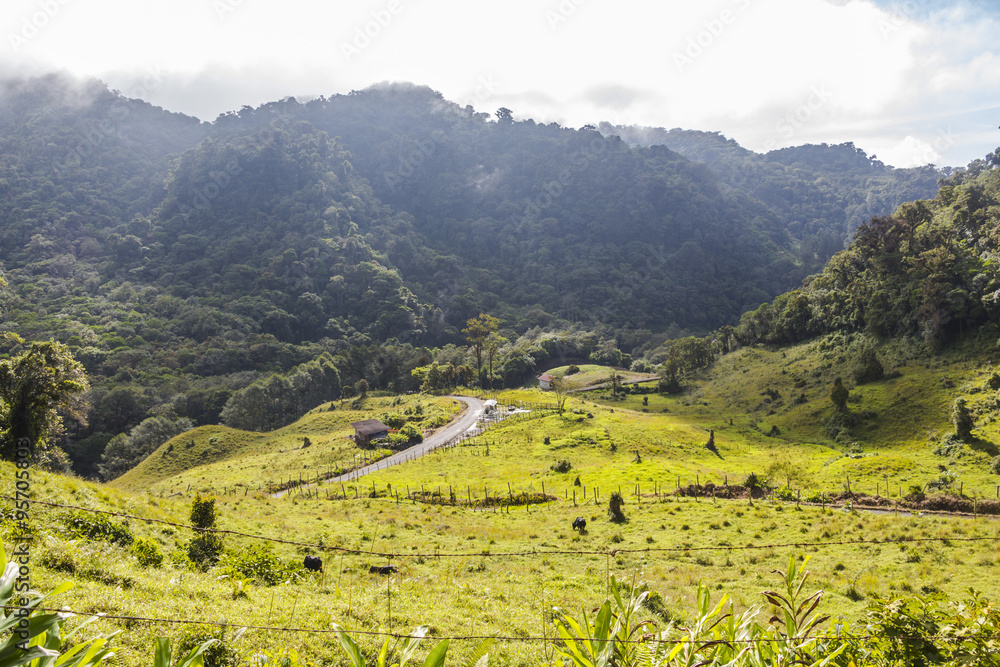 Panama Boquete Landscape, Quetzal Trail