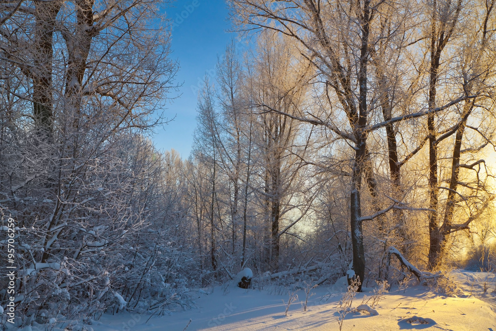 Fototapeta premium Frosty winter evening