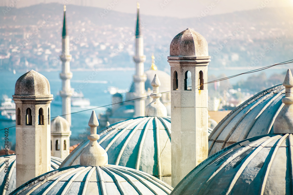 Naklejka premium Piękny meczet Süleymaniye w Stambule w Turcji