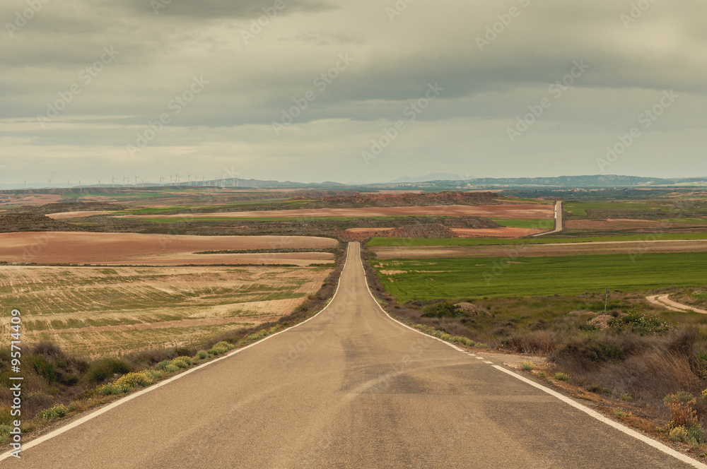 Fototapeta premium Road between the landscaped rural fields