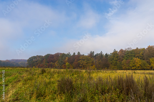 Wiese im Herbst mit Nebel