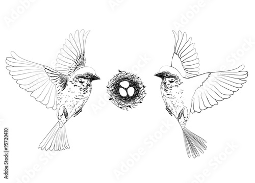 Illustration of birds flying over a nest with eggs.