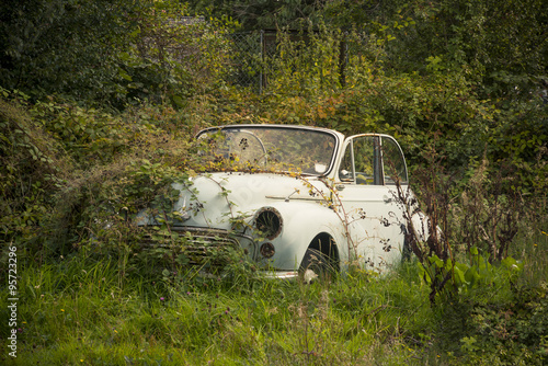 An old rusty car covered in overgrown plants