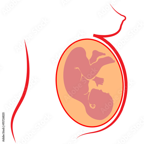 Human  Fetus Silhouette
