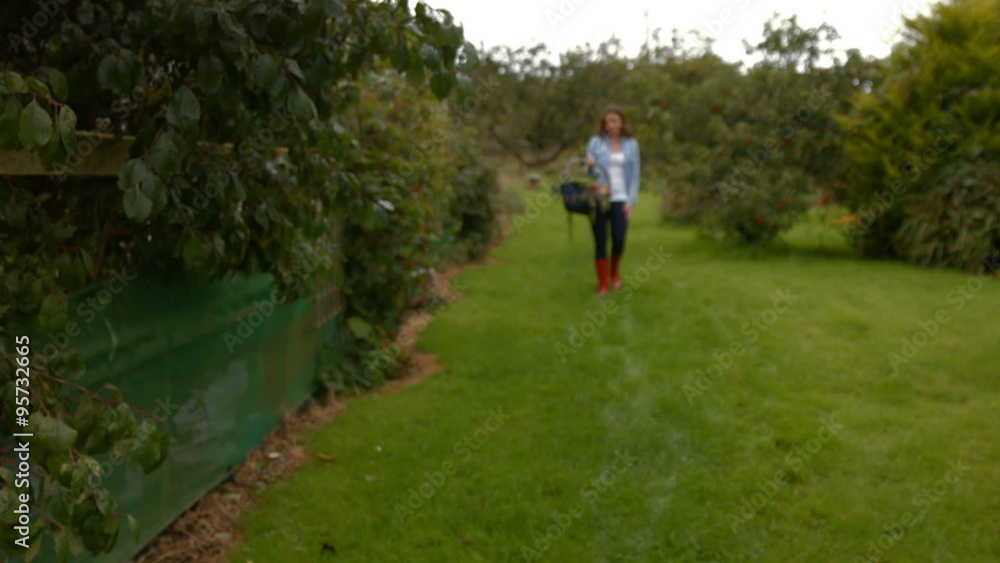 Pretty young woman walking with a basket a vegetables Pretty young woman walking with a basket a vegetables