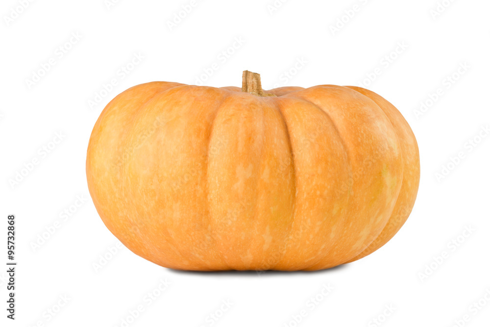 Fototapeta premium Pumpkin