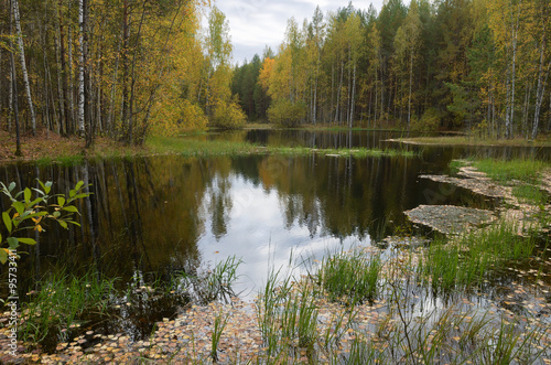 lake, forest, autumn ,marsh river