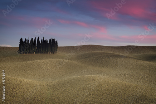 Tuscany landscape with cypress