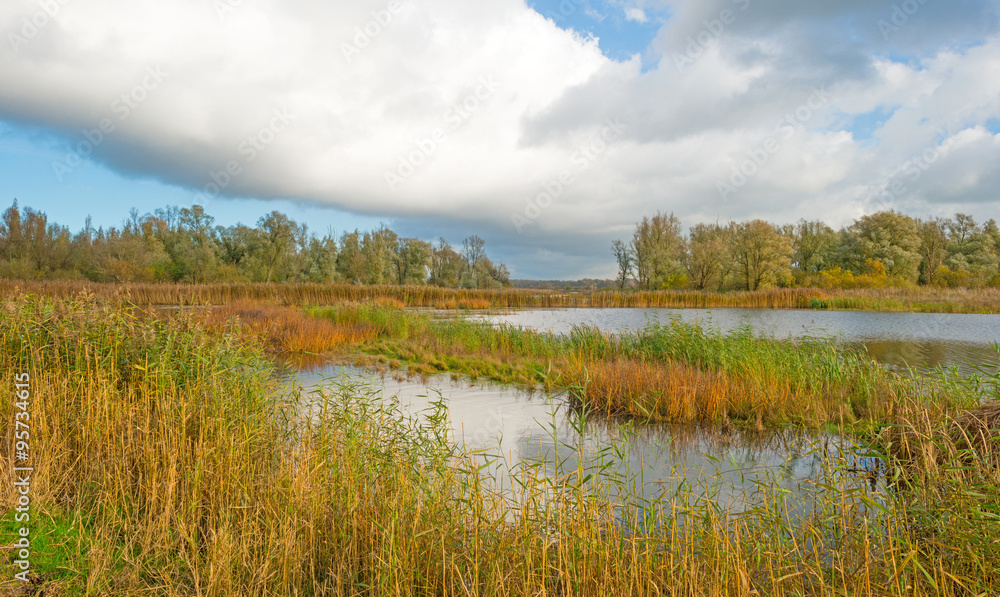 Shore of a lake below a cloudy sky in autumn Shore of a lake below a cloudy sky in autumn