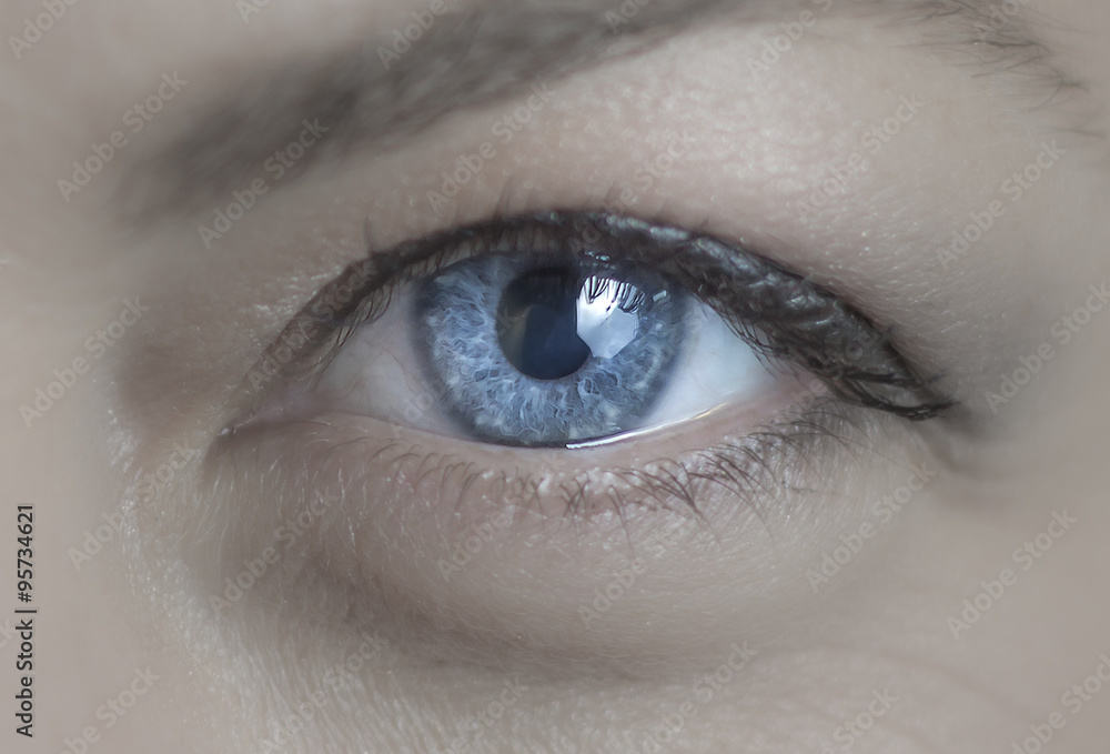 Female blue eye macro Female blue eye macro