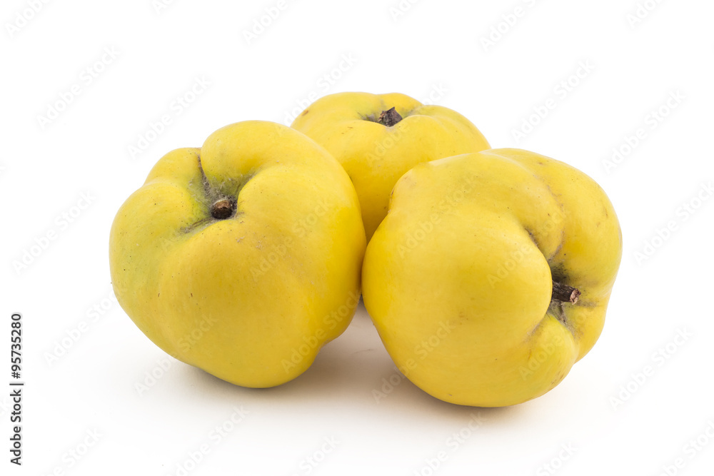 Three fresh ripe yellow quinces isolated on white background
