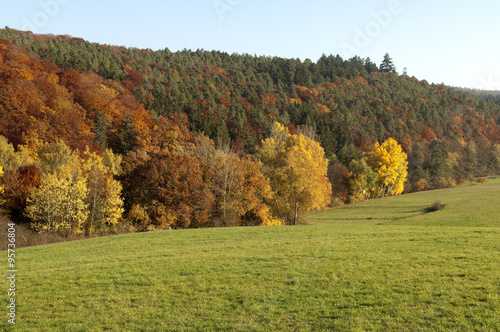 Fototapeta Naklejka Na Ścianę i Meble -  Herbstimpressionen, Herbst, Herbstblaetter