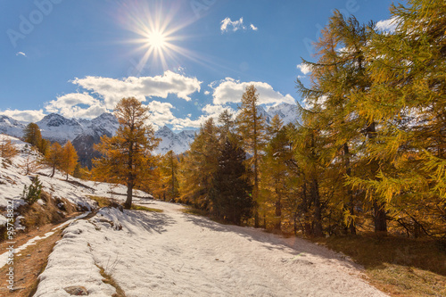 Valmalenco  IT  - Chiareggio - Alpe dell Oro 