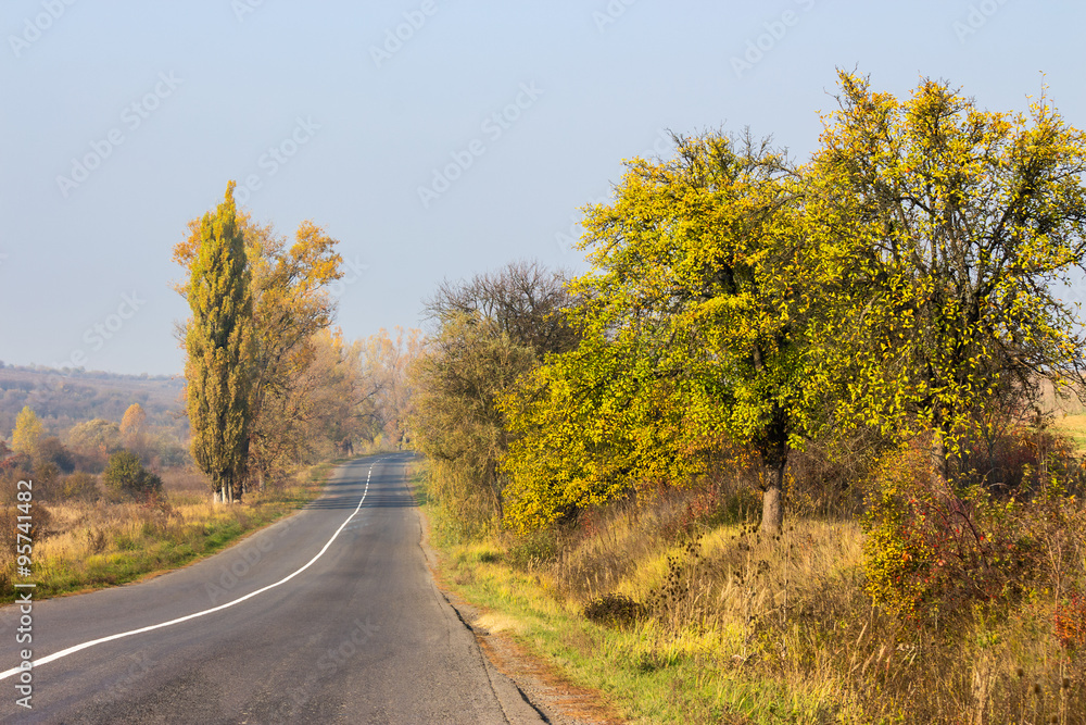 road going to mountains