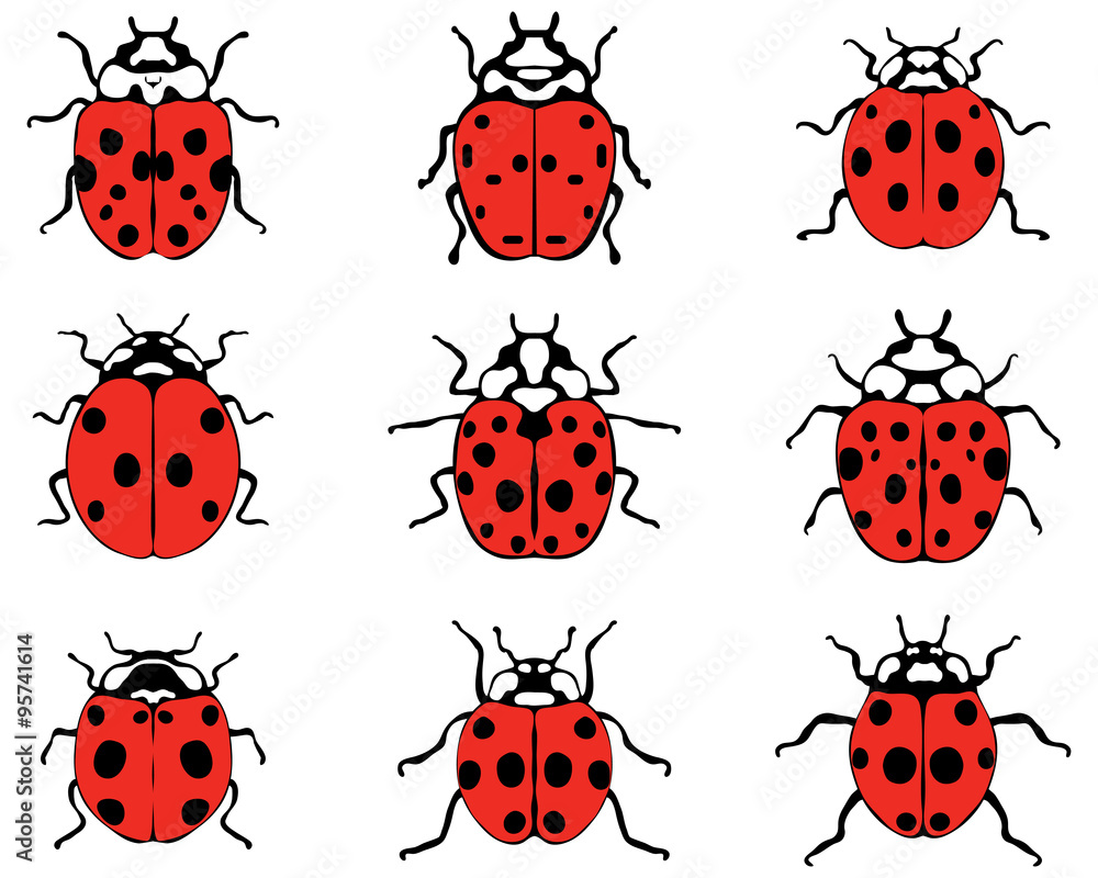 Fototapeta premium Set of different cheerful ladybugs, vector illustration