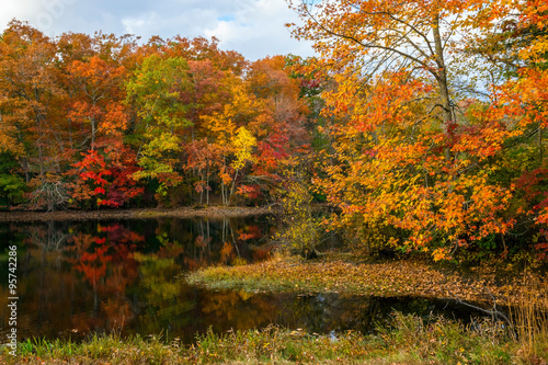 Autumn Pond Reflections