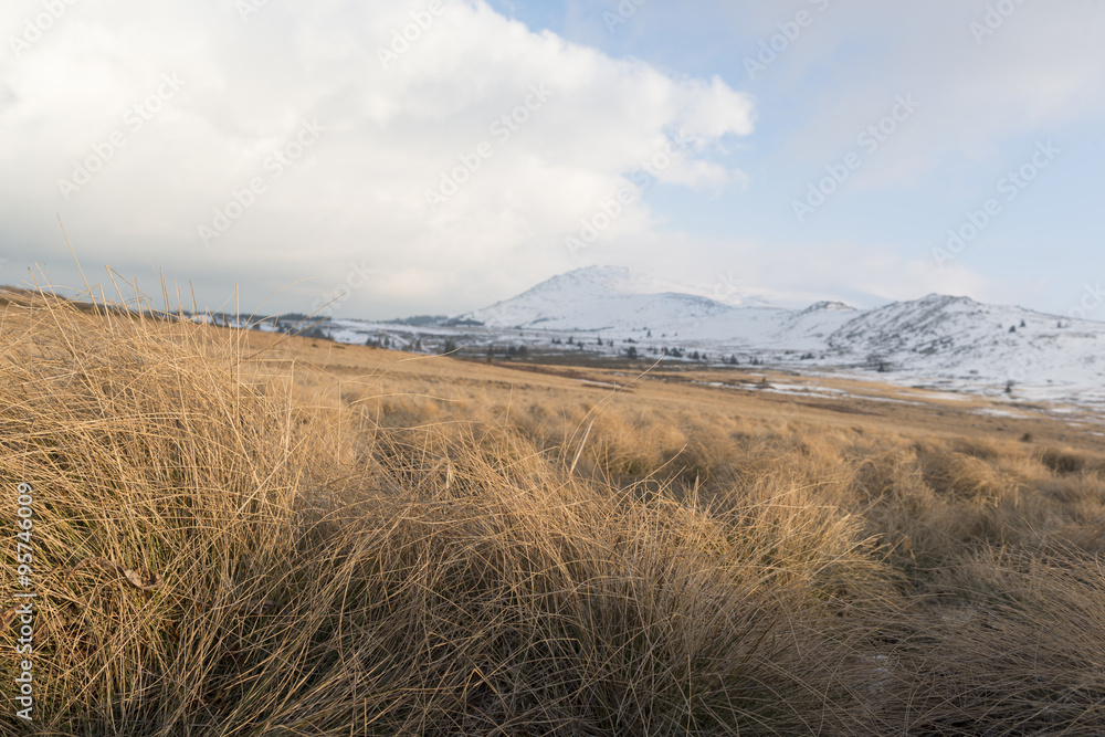 grass in winter mountain of Vitosha, Bulgaria grass in winter mountain of Vitosha, Bulgaria