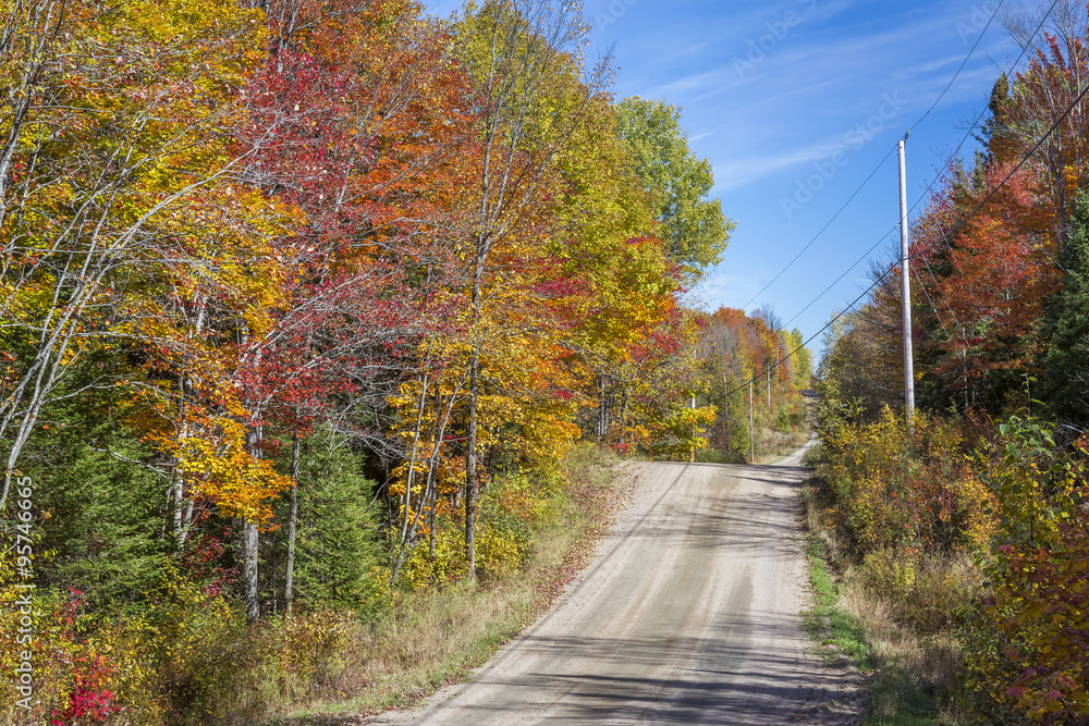 Fototapeta premium Country Road in Autumn - Ontario, Canada