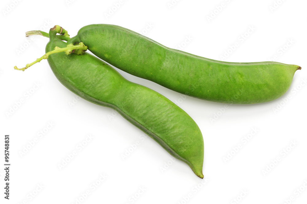 sword beans isolated on white background
sword beans isolated on white background
